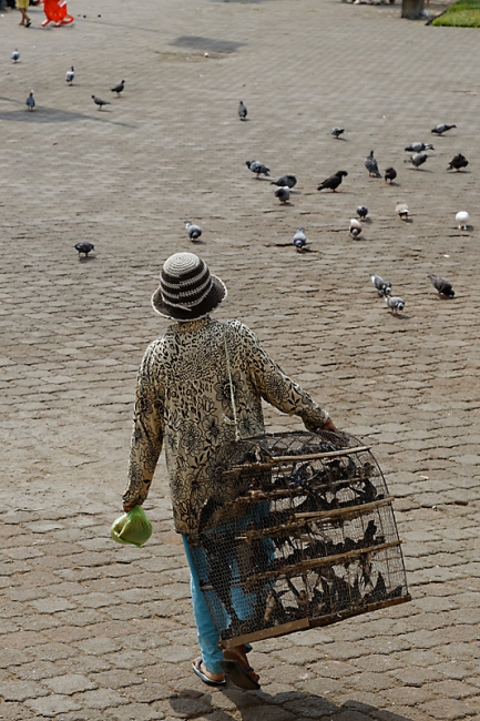 Phnom Penh-Divers-021